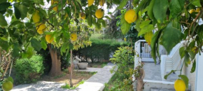 Elpida Lemon Garden House